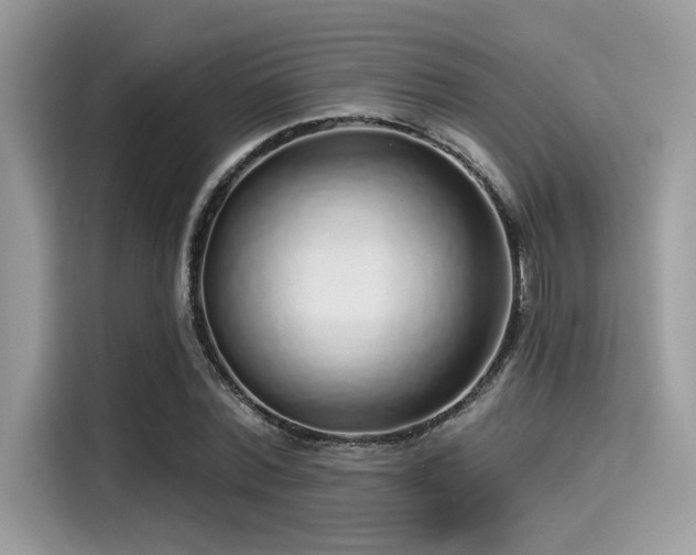 X0000115550780200911131604