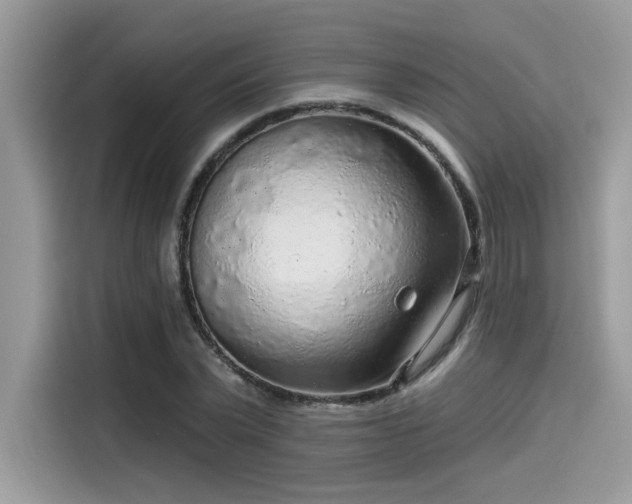 X0000115550783200911131604