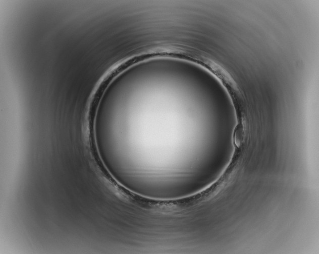 X0000115550784200911131604