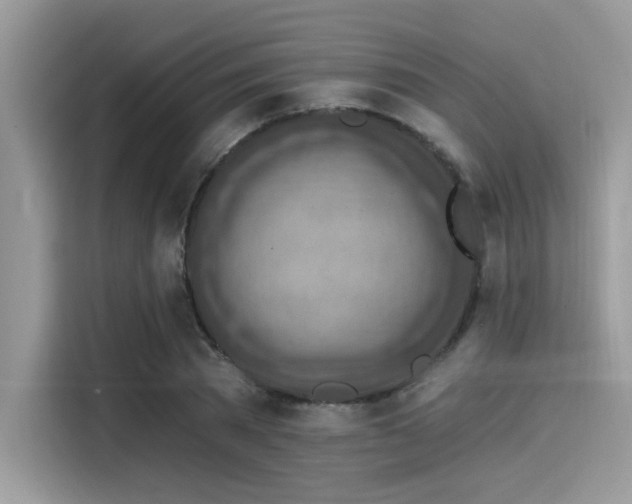 X0000115550785200911131604