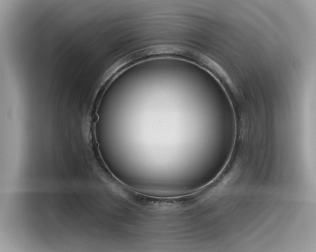 X0000115550786200911131604