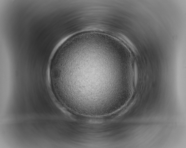 X0000115550788200911131604