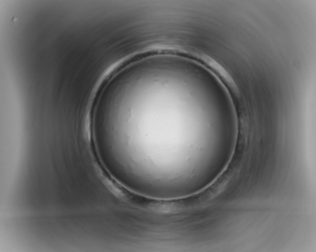 X0000115550791200911131603