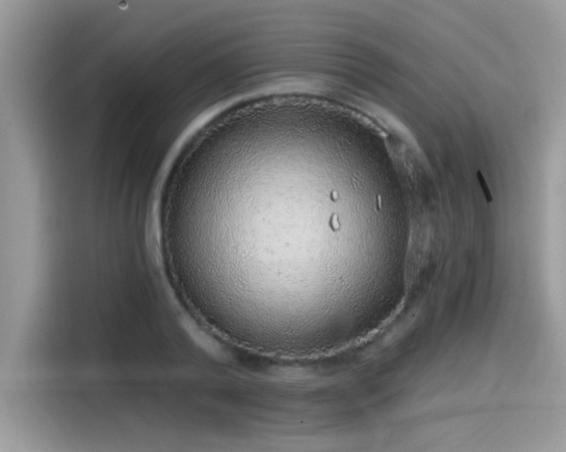 X0000115550792200911131603