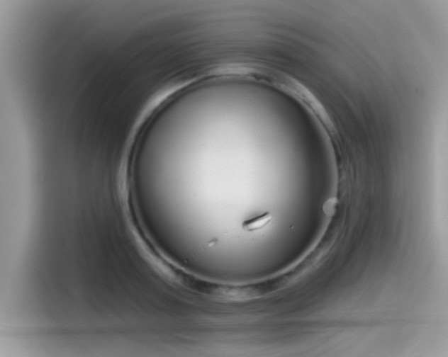 X0000115550795200911131603