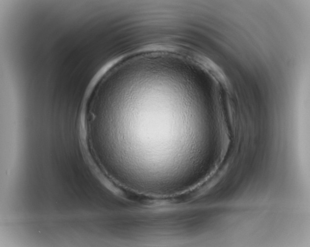 X0000115550796200911131603