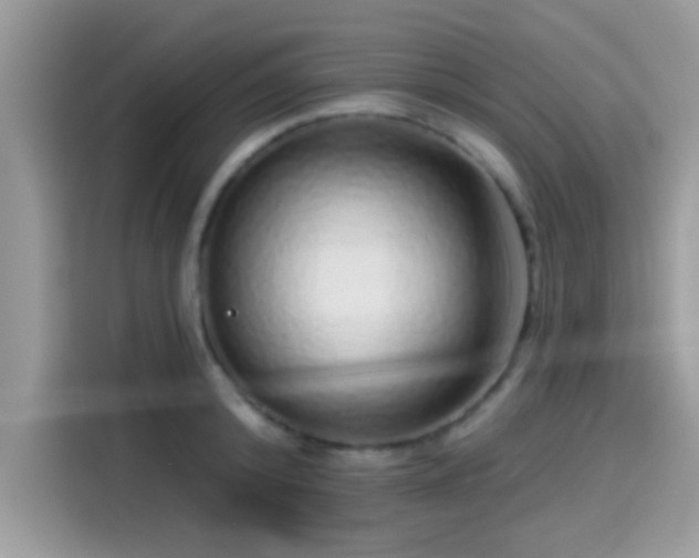 X0000115550800200911131603