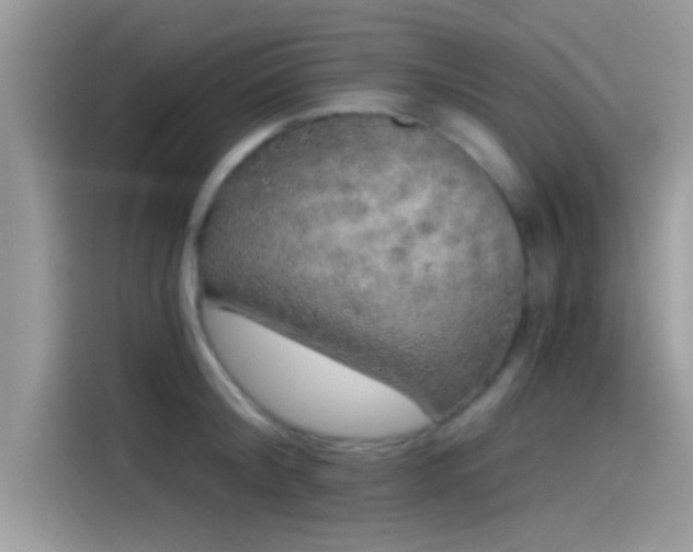 X0000115550804200911131603