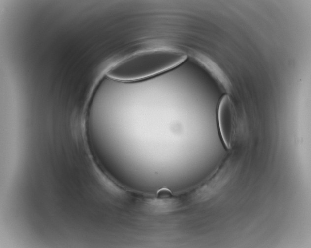 X0000115550805200911131603