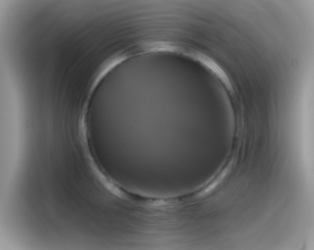 X0000115550806200911131603