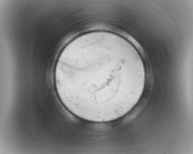 X0000115550807200911131603