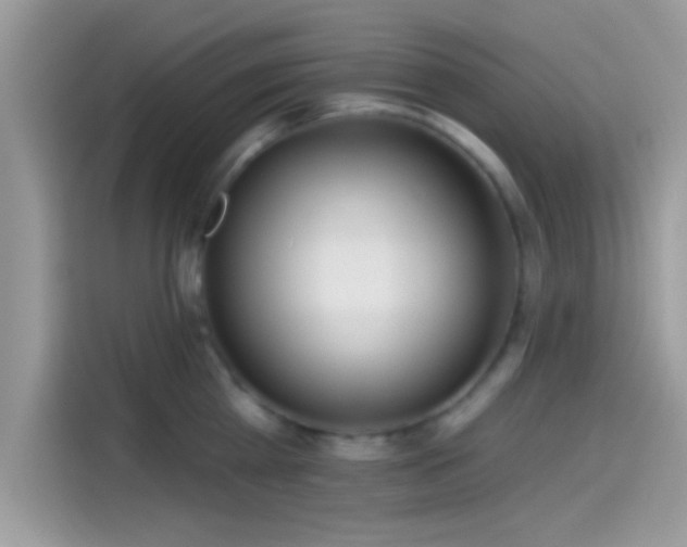 X0000115550809200911131603