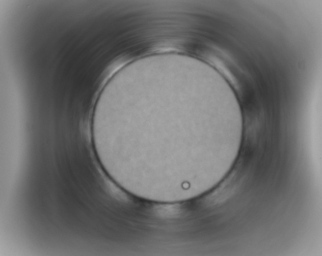 X0000115550810200911131603