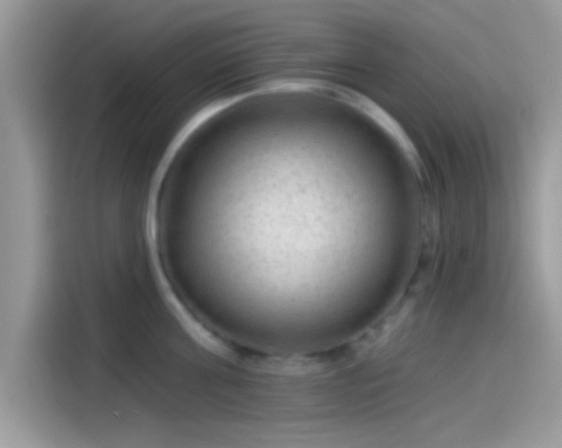 X0000115550811200911131603