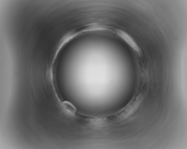 X0000115550813200911131603