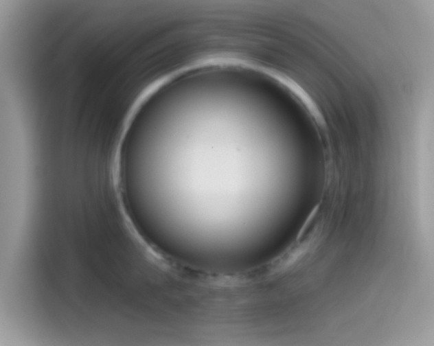 X0000115550815200911131603