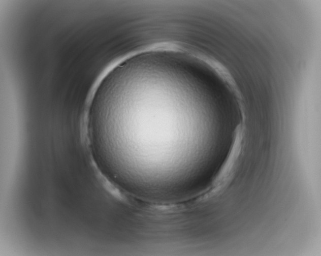 X0000115550816200911131603