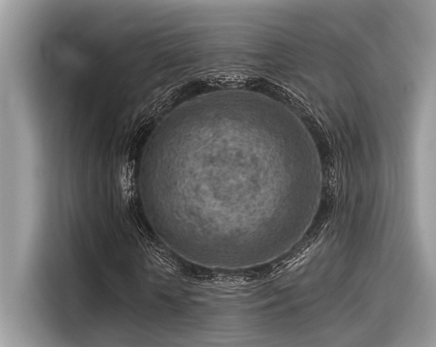 X0000115550818200911131602