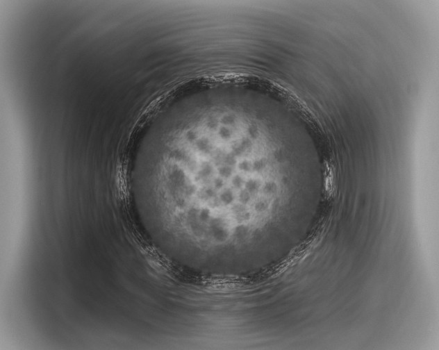 X0000115550819200911131602