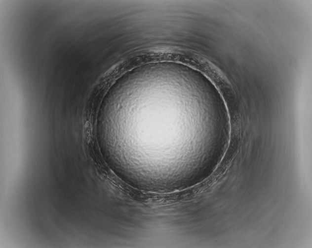 X0000115550821200911131602