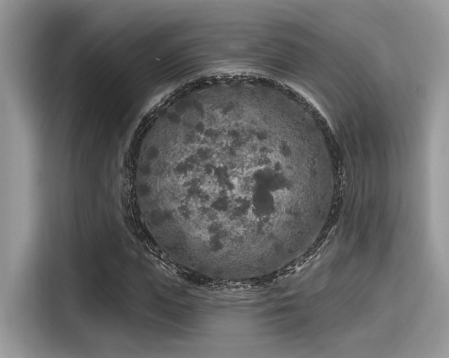 X0000115550823200911131603