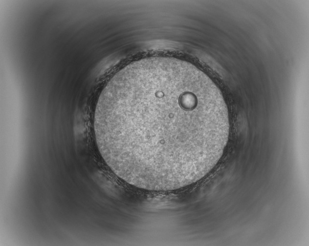 X0000115550824200911131603