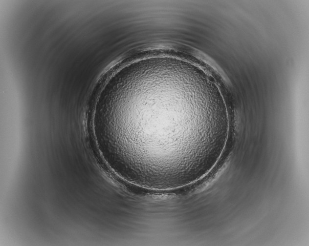 X0000115550826200911131603