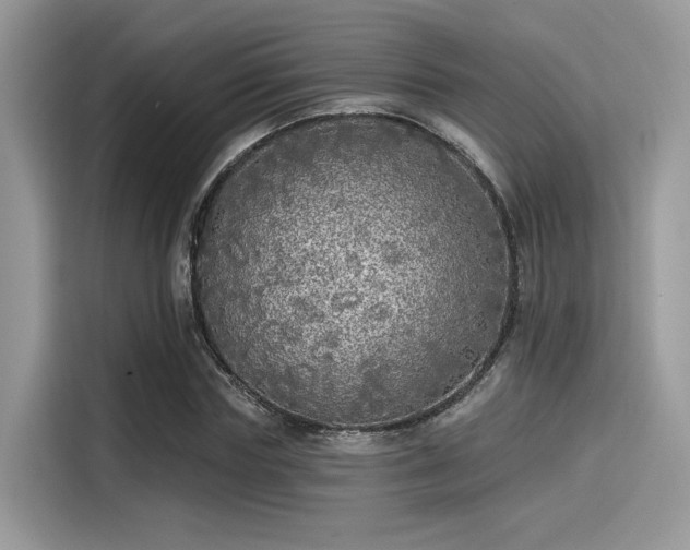 X0000115550827200911131603