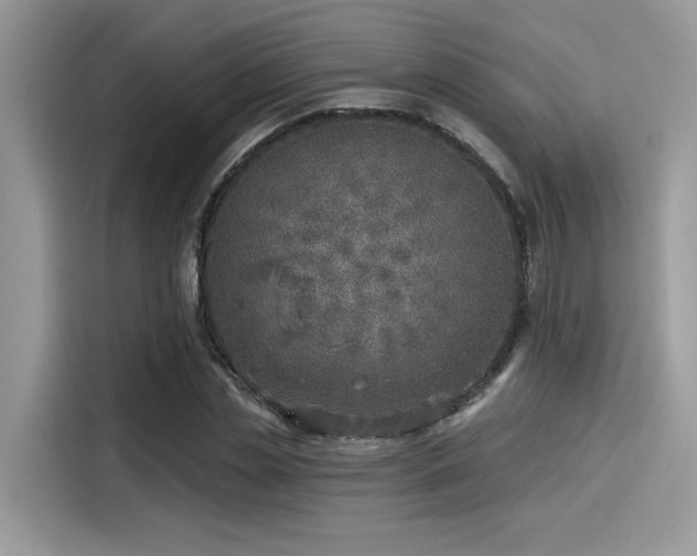 X0000115550829200911131603