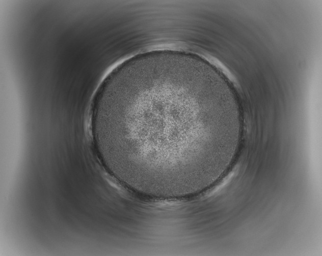 X0000115550830200911131603