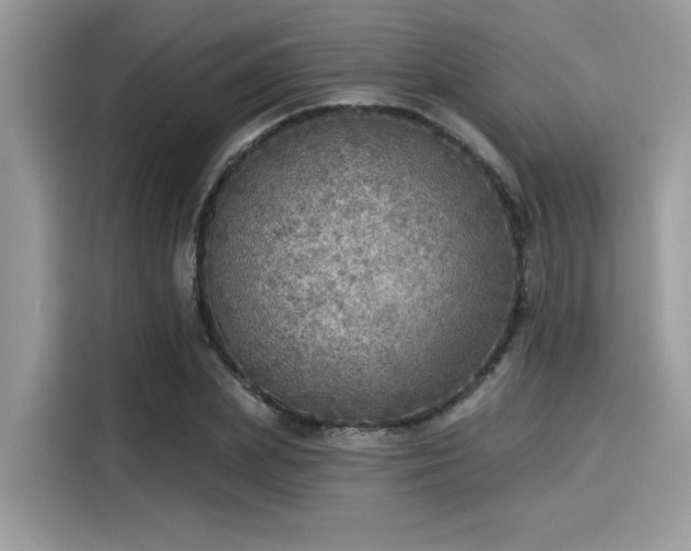 X0000115550831200911131603