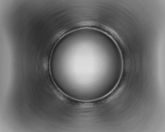 X0000115550833200911131603