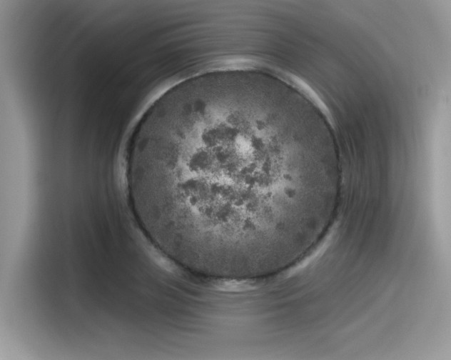 X0000115550835200911131603