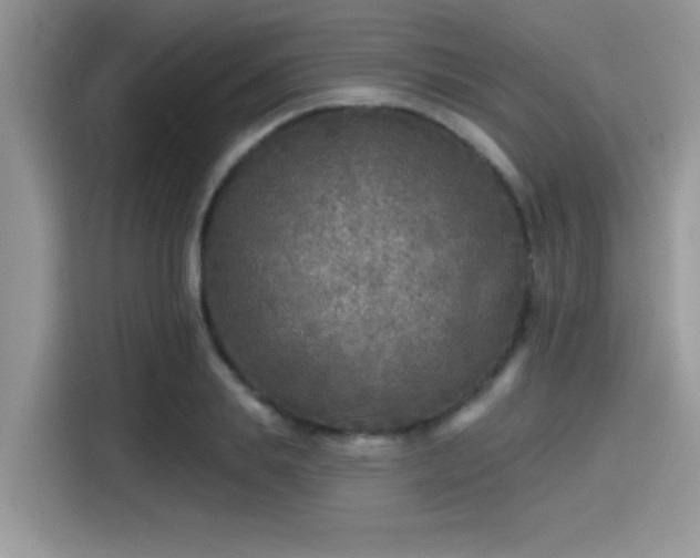 X0000115550839200911131603