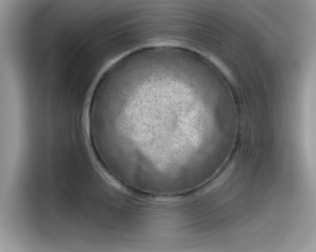 X0000115550840200911131603