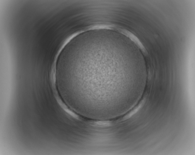 X0000115550844200911131603