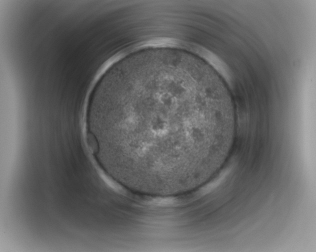 X0000115550845200911131603