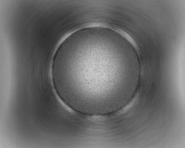 X0000115550847200911131603