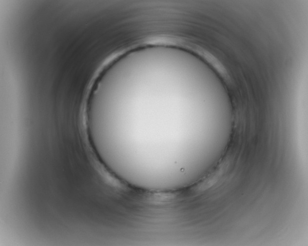 X0000115550848200911131603