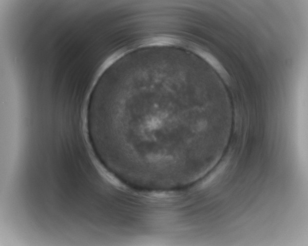 X0000115550850200911131603