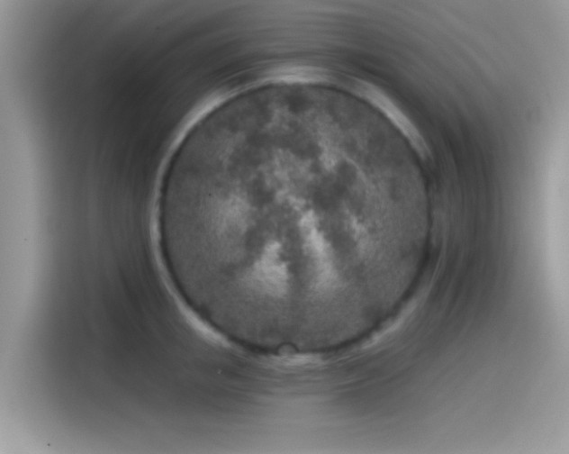 X0000115550853200911131603