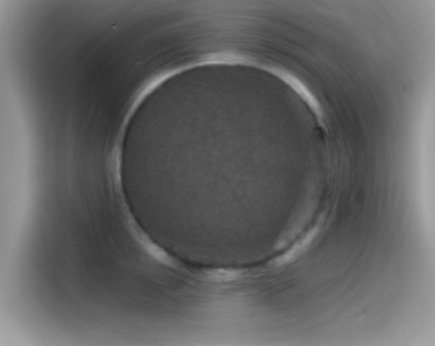 X0000115550854200911131603