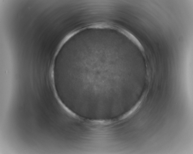 X0000115550855200911131603