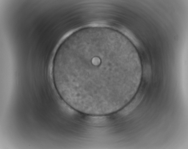 X0000115550856200911131603