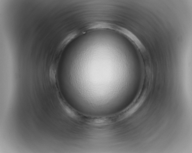 X0000115550857200911131603