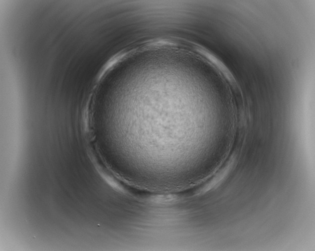 X0000115550858200911131603