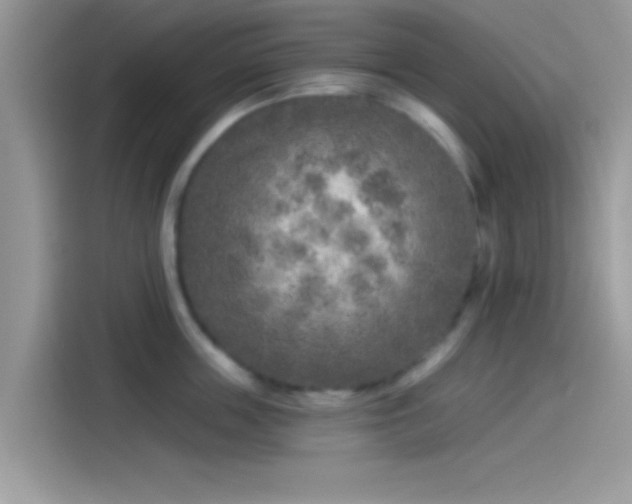 X0000115550859200911131603