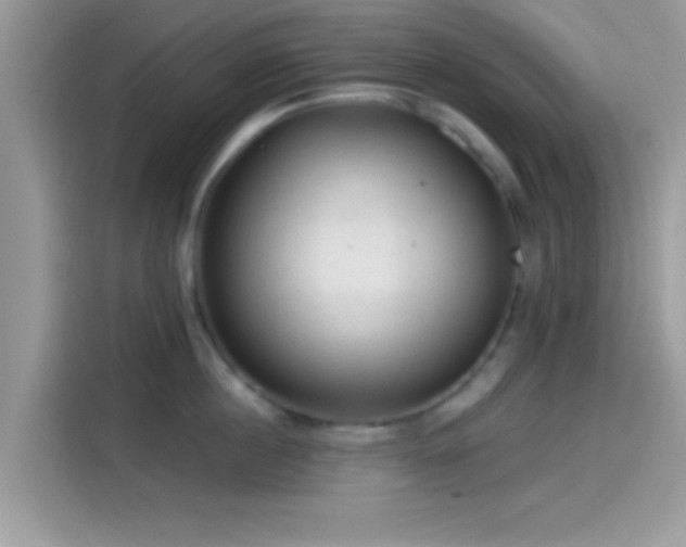 X0000115550860200911131603