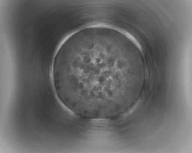 X0000115550863200911131603