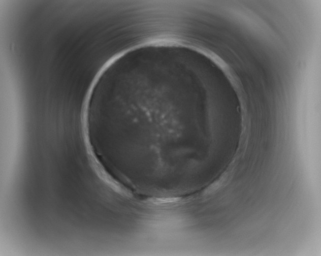 X0000115550864200911131603